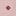 Texas A&M Collegiate Outfitters Floral Dots Polo - White