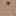 Texas A&M Long Sleeve Pearl Snap Tailgater - Tan