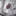 Zoomed in maroon branding logo on woodlands camo polo