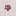 Texas A&M Horn Legend Bloom Sport Button Up - White