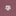 Texas A&M Antigua Mosaic Polo - Maroon