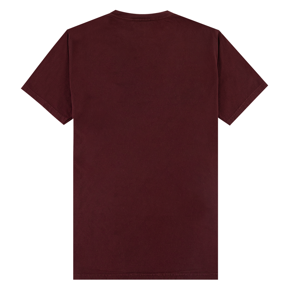 Texas A&M Hanes Biology T-Shirt - Maroon
