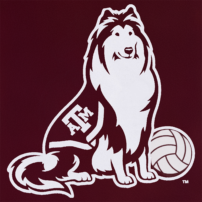 Texas A&M Reveille Volleyball Drawstring Bag - Maroon