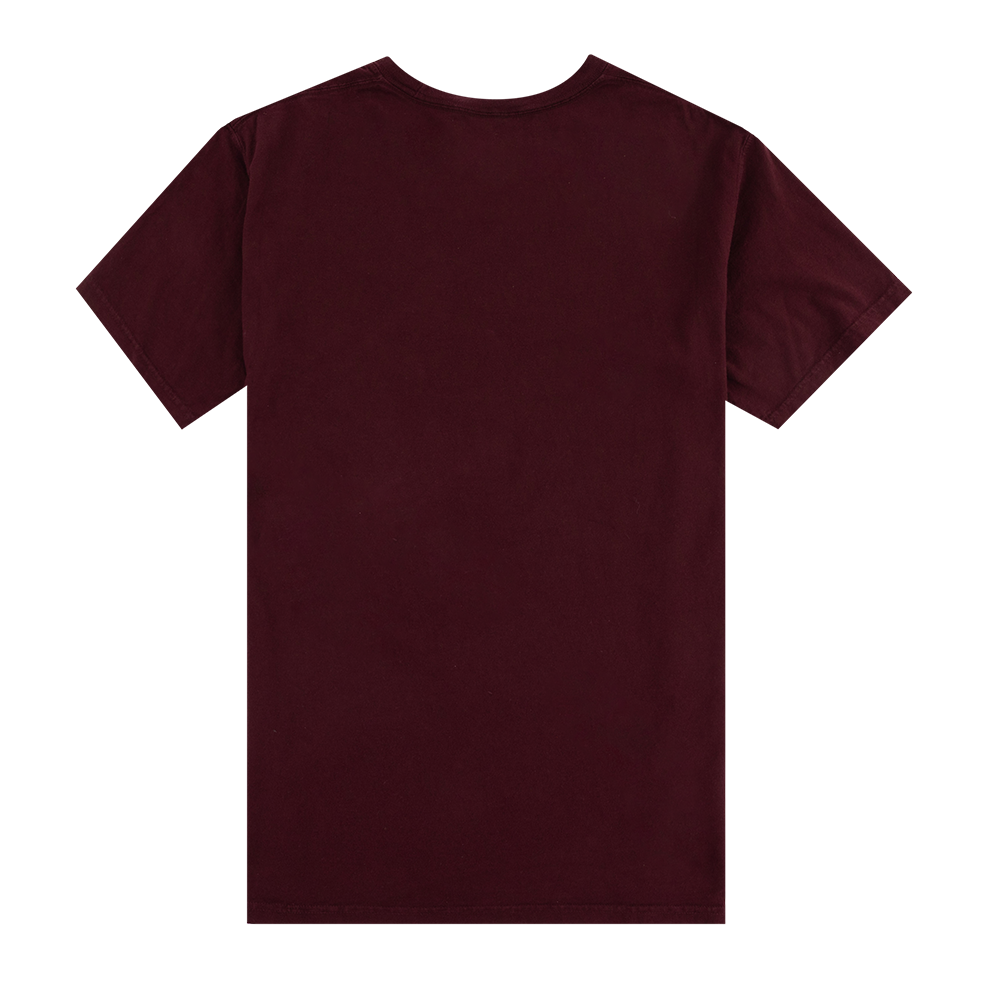 Texas A&M Hanes Aggies Fire T-Shirt - Maroon