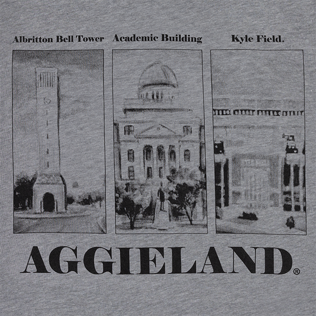 Texas A&M Tonal Aggieland T-Shirt - Gray