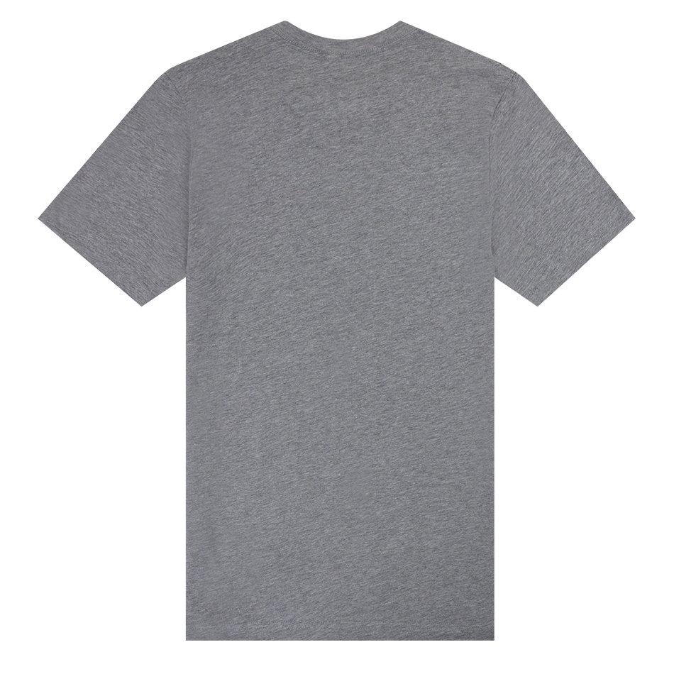 Texas A&M Tonal Aggieland T-Shirt - Gray