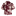 Entro Abstract Floral Button Down Blouse - Maroon