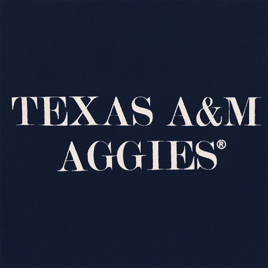 Texas A&M Comfort Colors Texas Bluebonnets T-Shirt - Navy