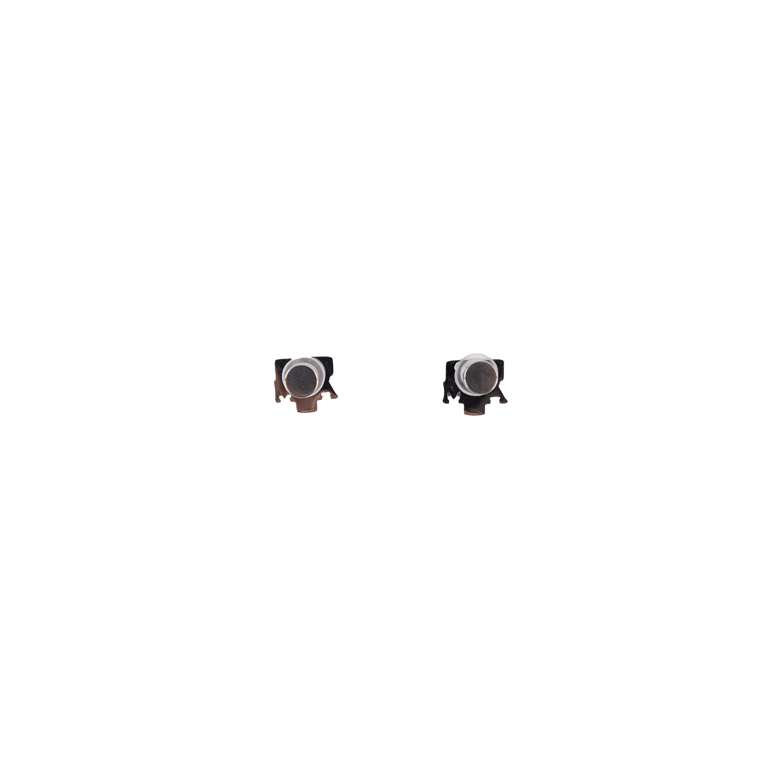Texas A&M Linny Co Screwback Stud Earrings - Silver