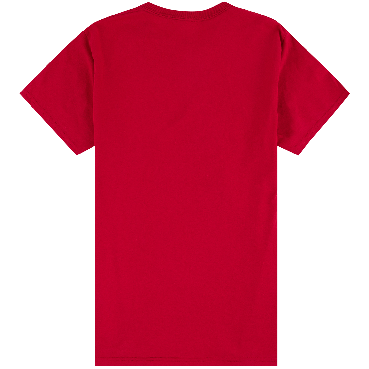 Texas A&M Standing for America 2026 T-Shirt - Red