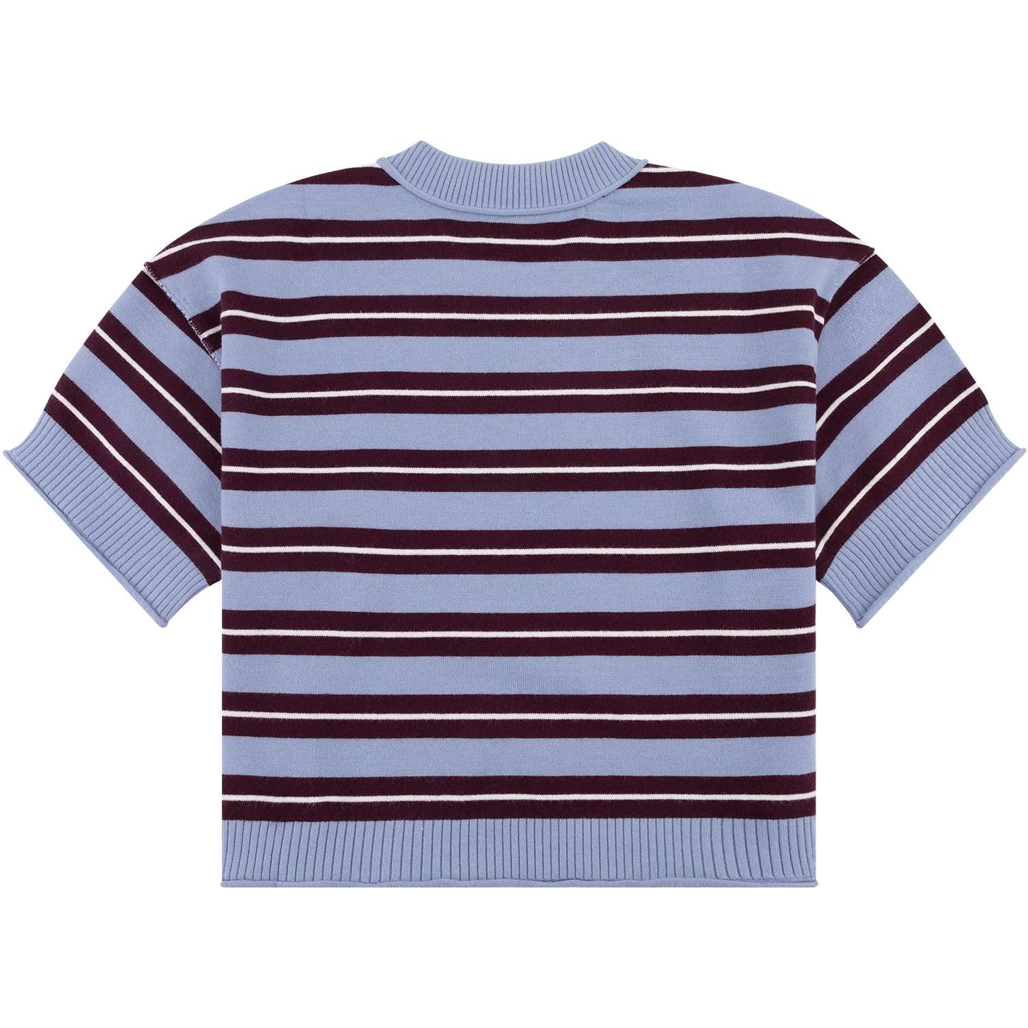 Short Sleeve Striped Distressed Knit Sweater - Blue
