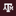Texas A&M Aggie Gold T-Shirt - Maroon