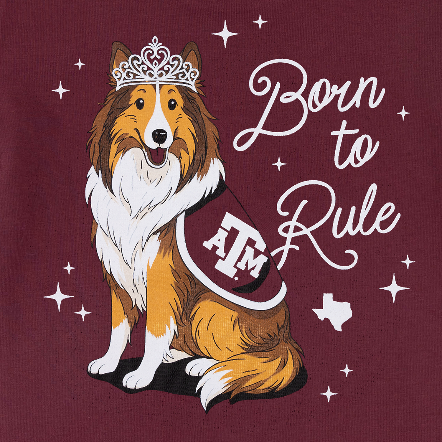 Collegiate Outfitters Toddler Born To Rule T-Shirt - Maroon