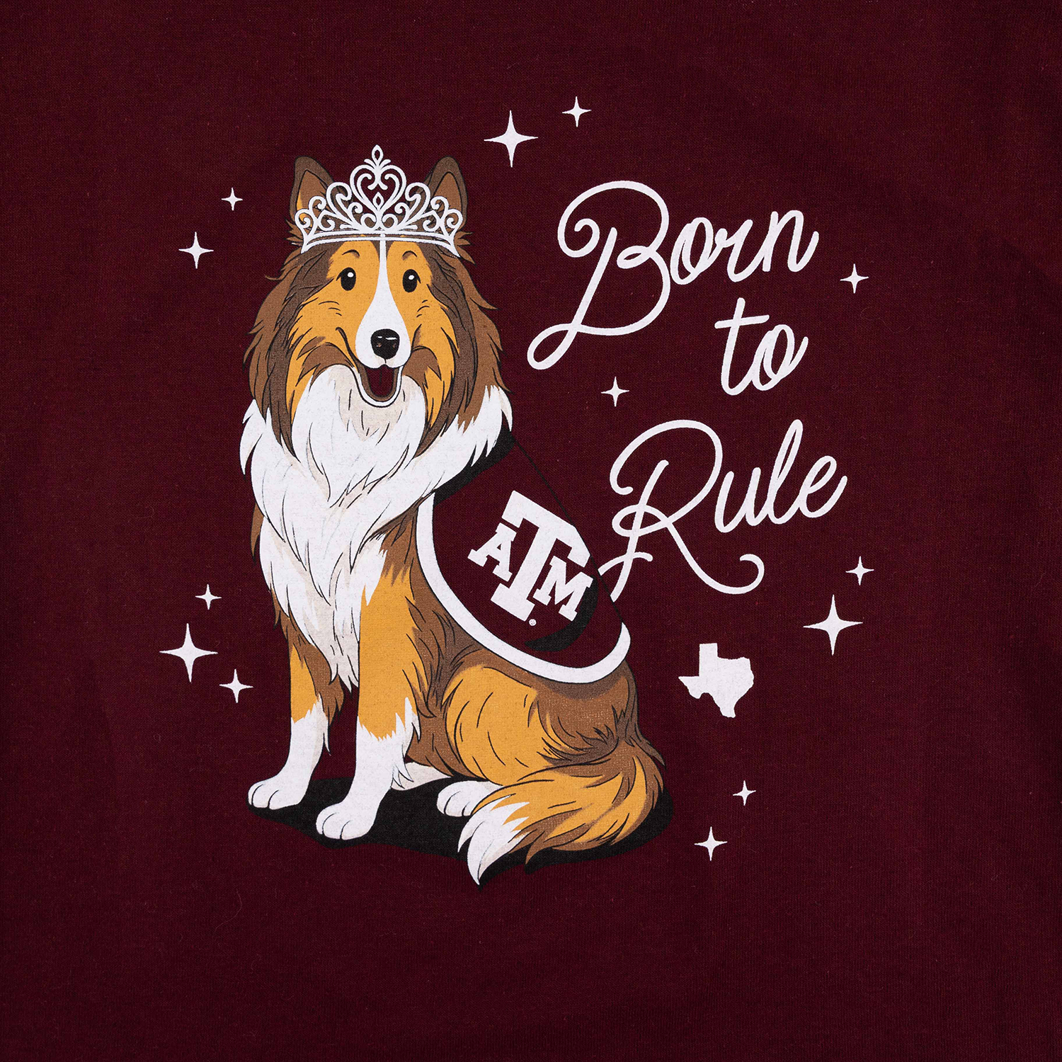 Texas A&M Hanes Youth Born to Rule T-Shirt - Maroon
