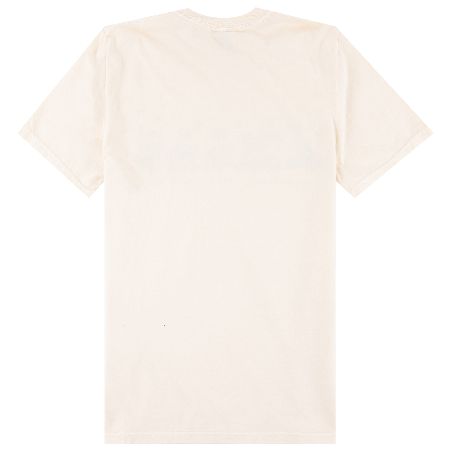 Aggieland Comfort Colors Puppy Fall T-Shirt - Beige
