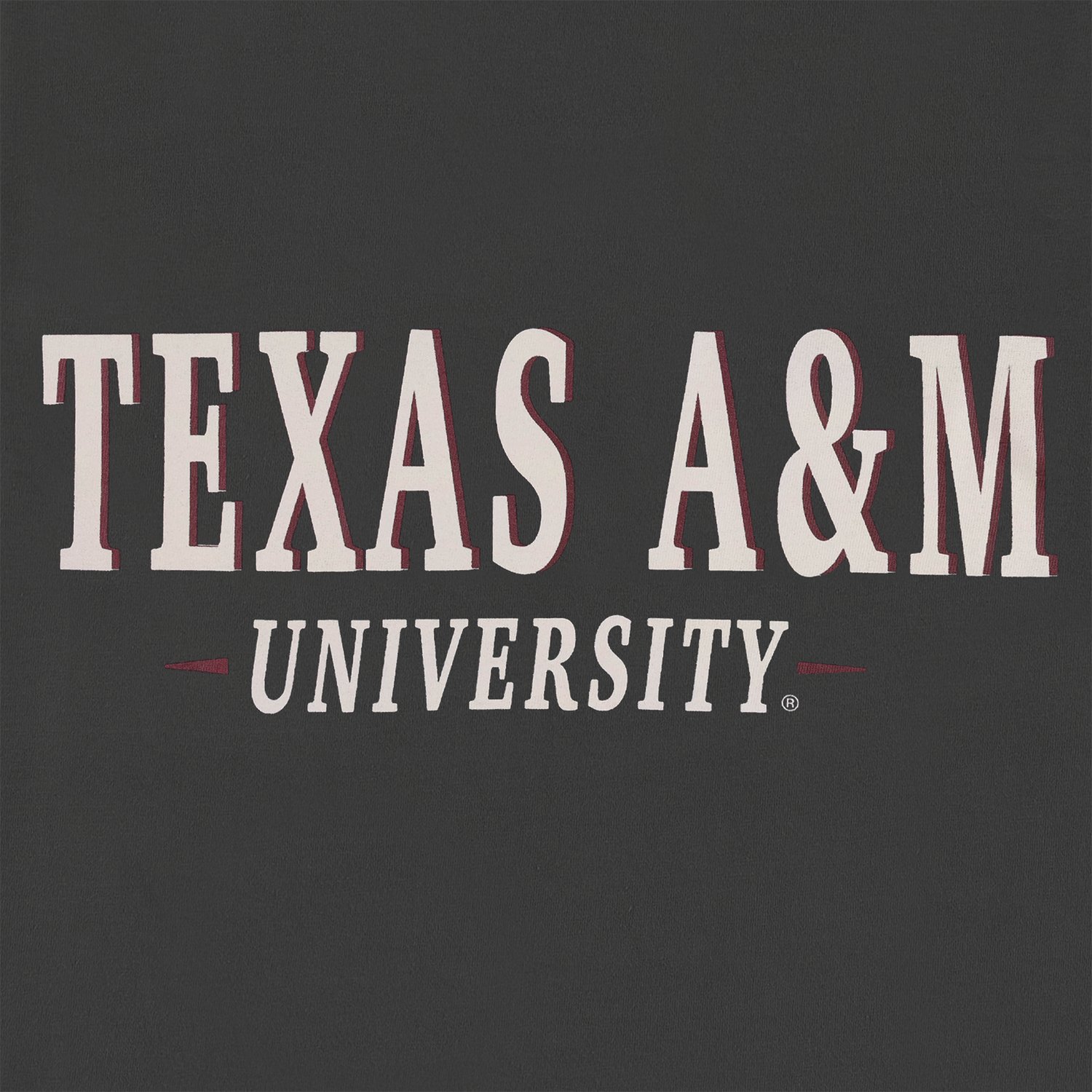 Texas A&M Comfort Colors Lake Dog T-Shirt - Gray