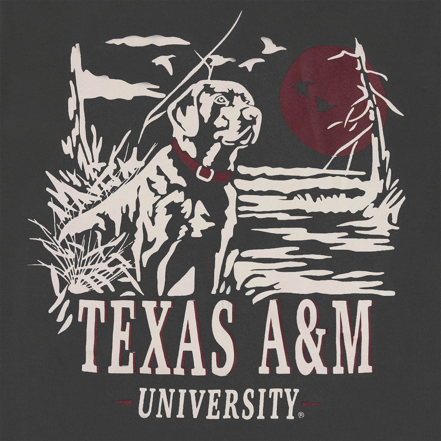 Texas A&M Comfort Colors Lake Dog T-Shirt - Gray
