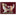 Texas A&M Barking Reveille Note Card