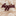 Script Aggies No Rivals Snap Back Hat - Camo