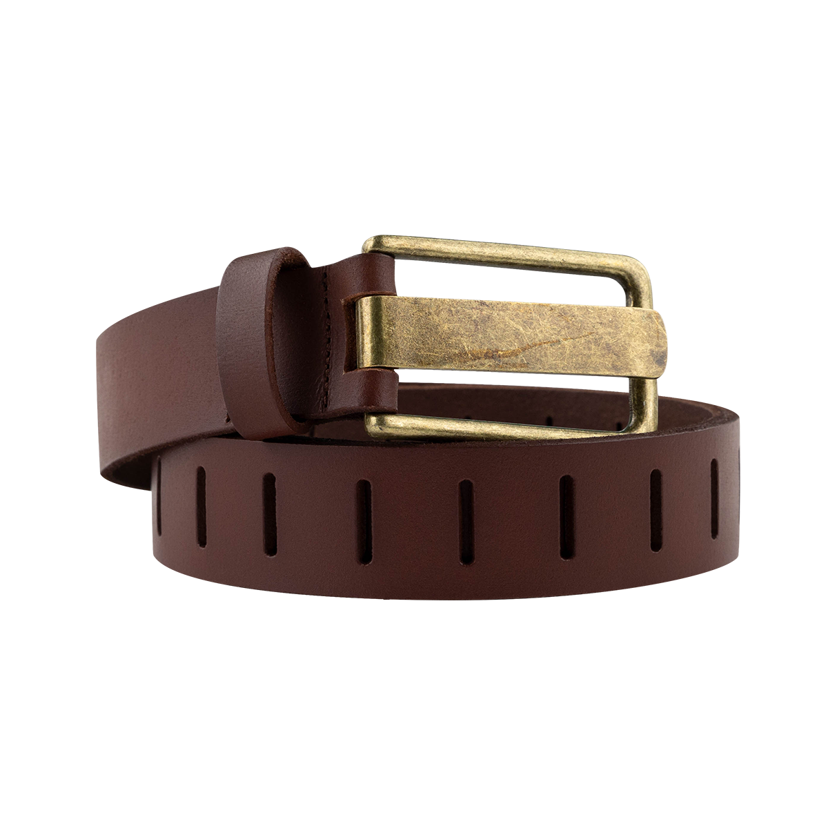 Brown Belt with Gold Fitting