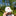 Saw 'Em Off Collegiate Outfitters Embroidered Hat
