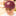 Texas A&M '47 Brand Aggies Circle Vault Structured Maroon Hat