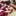 Texas A&M Minky Couture Adult Blanket
