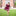 Texas A&M Puff Sleeve Dress