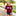 Collegiate Outfitters Texas A&M Stitched Arched T-Shirt