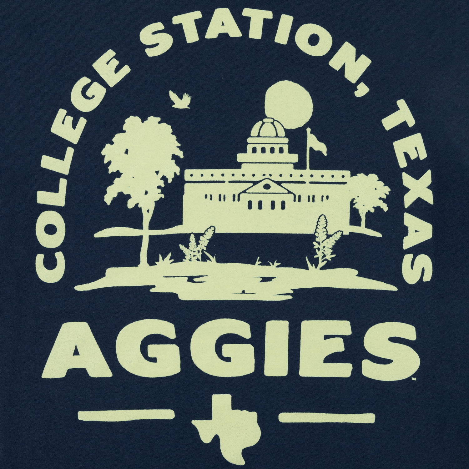 Texas A&M Aggies College Station Oasis T-Shirt