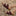 Collegiate Outfitters Maroon Sandals