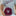 Texas A&M Adidas Fitted On-Field Baseball Cap