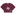 Maroon Crop Top with White Texas ATM Texas Logo.