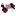Maroon and White Bow with ATM logo