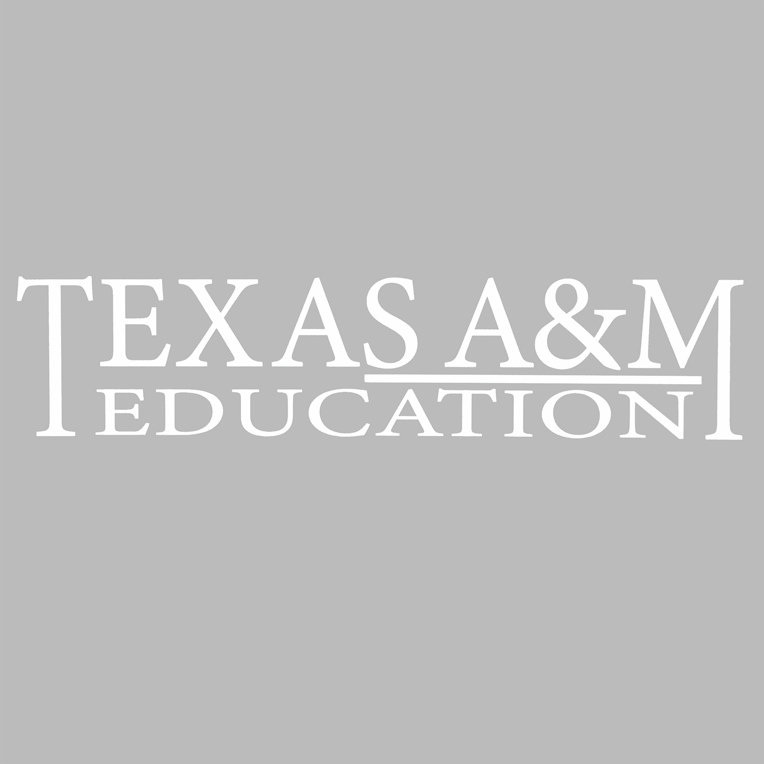 White text reading 'TEXAS A&M EDUCATION' centered on a plain light gray background.