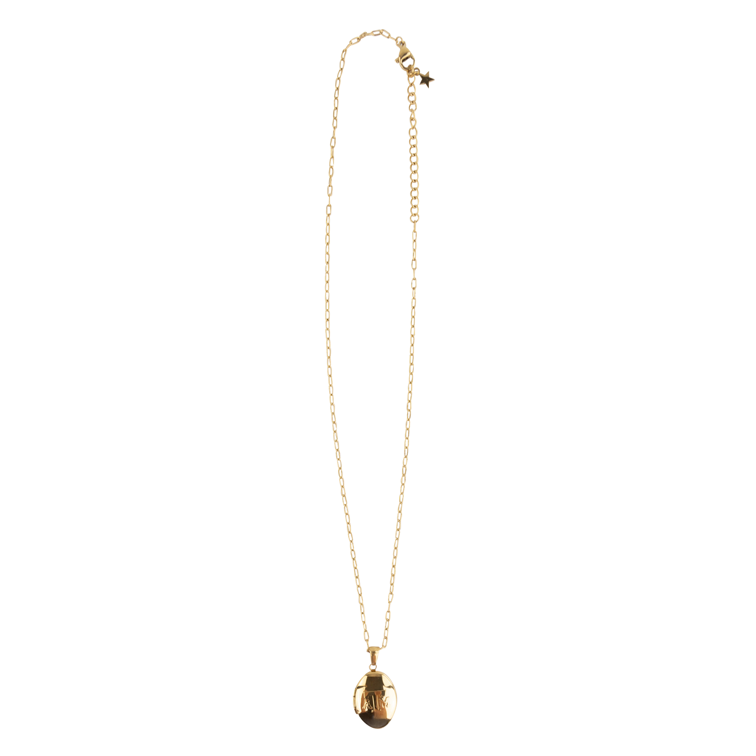 A delicate gold chain necklace featuring a small, polished gold beetle pendant, displayed against a solid white background.