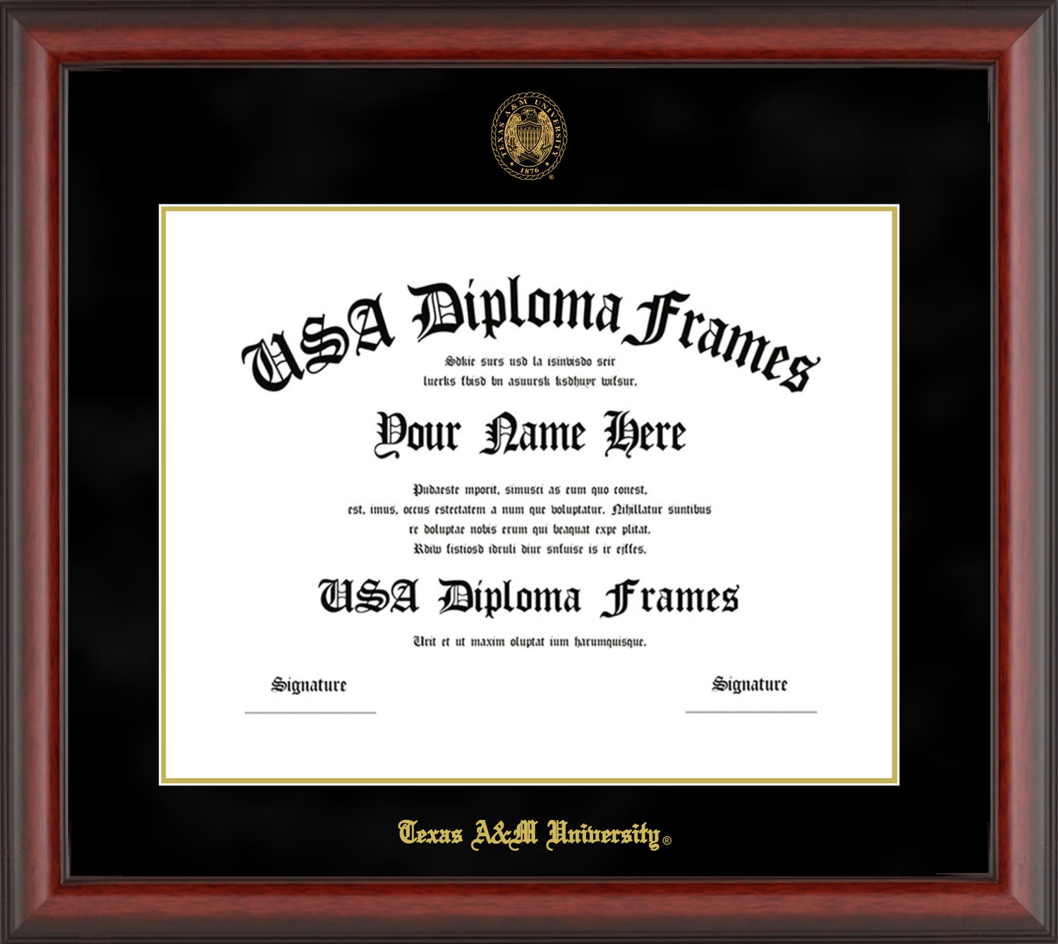 Texas A&M Matte Glass Traditional with Black Mat Diploma Frame