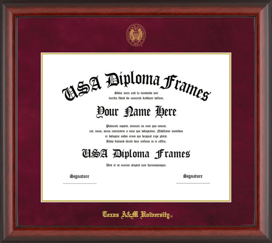 Texas A&M Matte Glass Traditional with Maroon Mat Diploma Frame