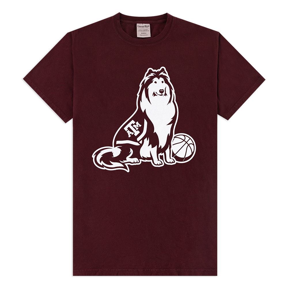 Maroon T-Shir with White Rev next to basketball