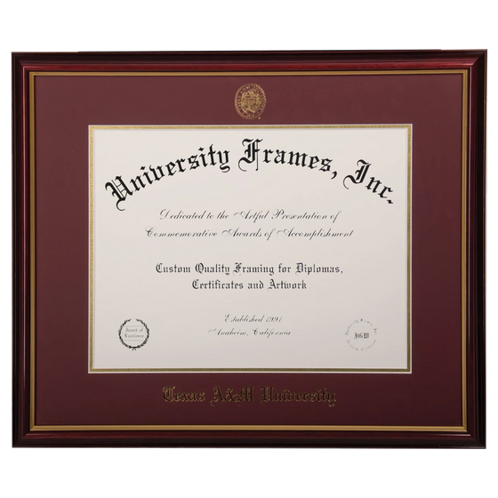 Diploma Frame with Gold Band around outside and Maroon background