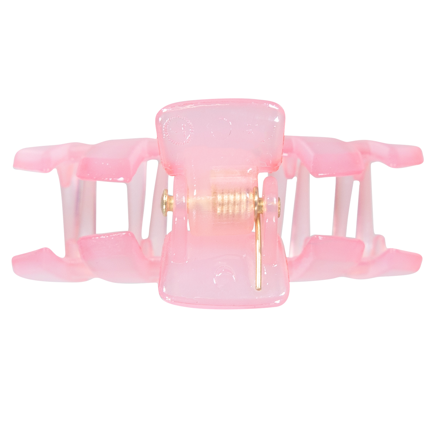 Tiny Hair Clip