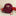 Texas A&M Collegiate Outfitters Reveille Embroidered Cap - Maroon