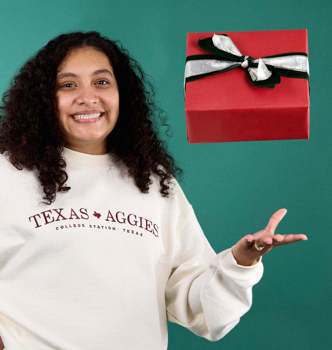 The 12 Deals of Christmas!
