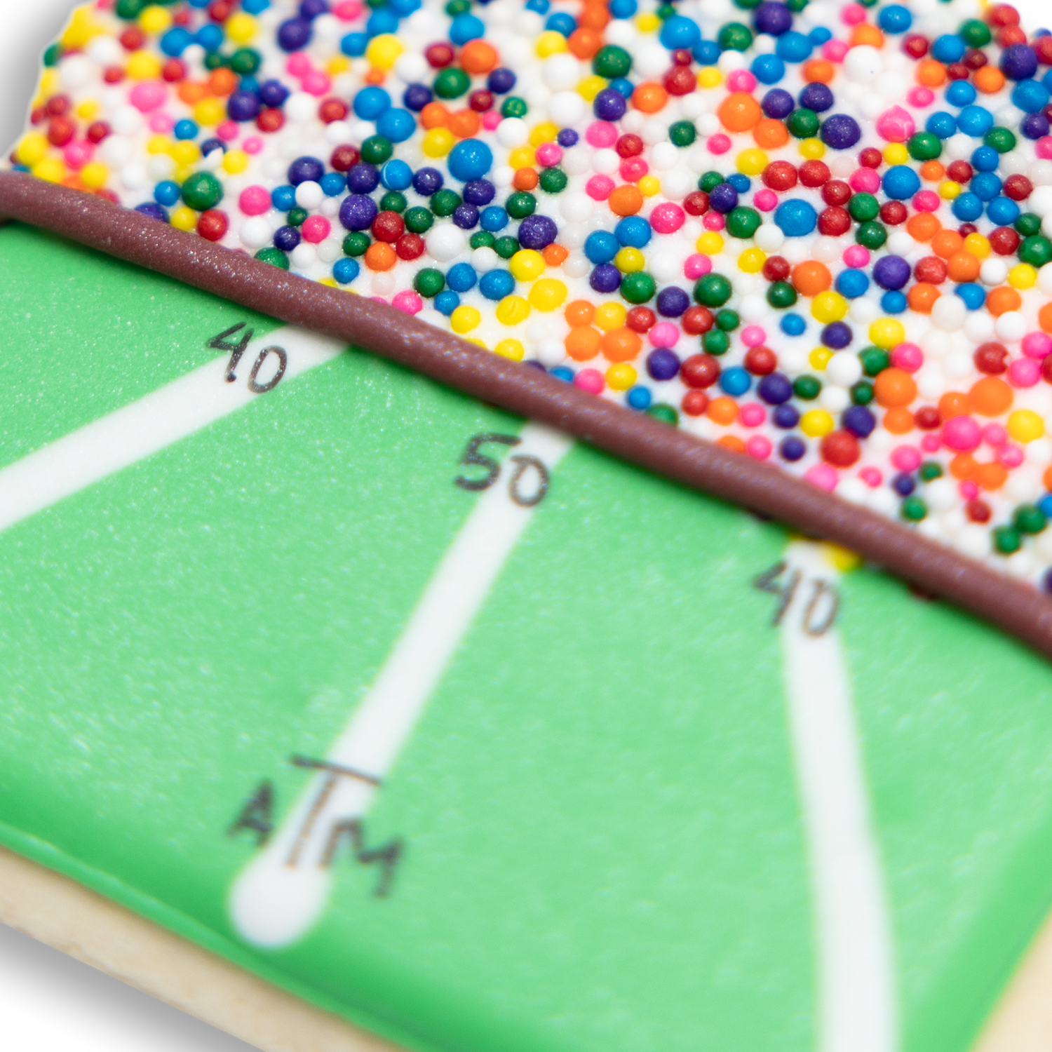 Texas A&M Stadium Cookie