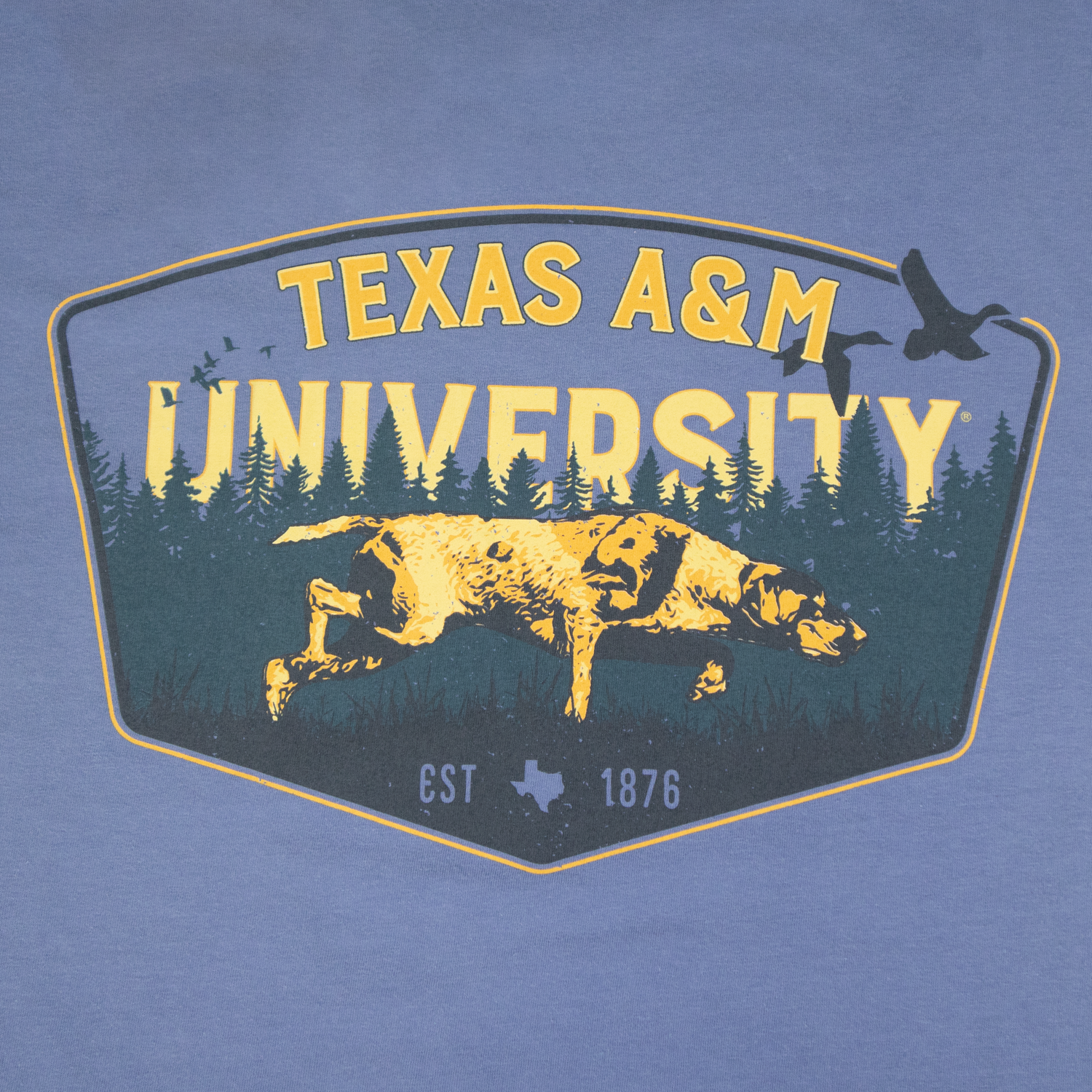 Texas A&M University Hunting Pointer