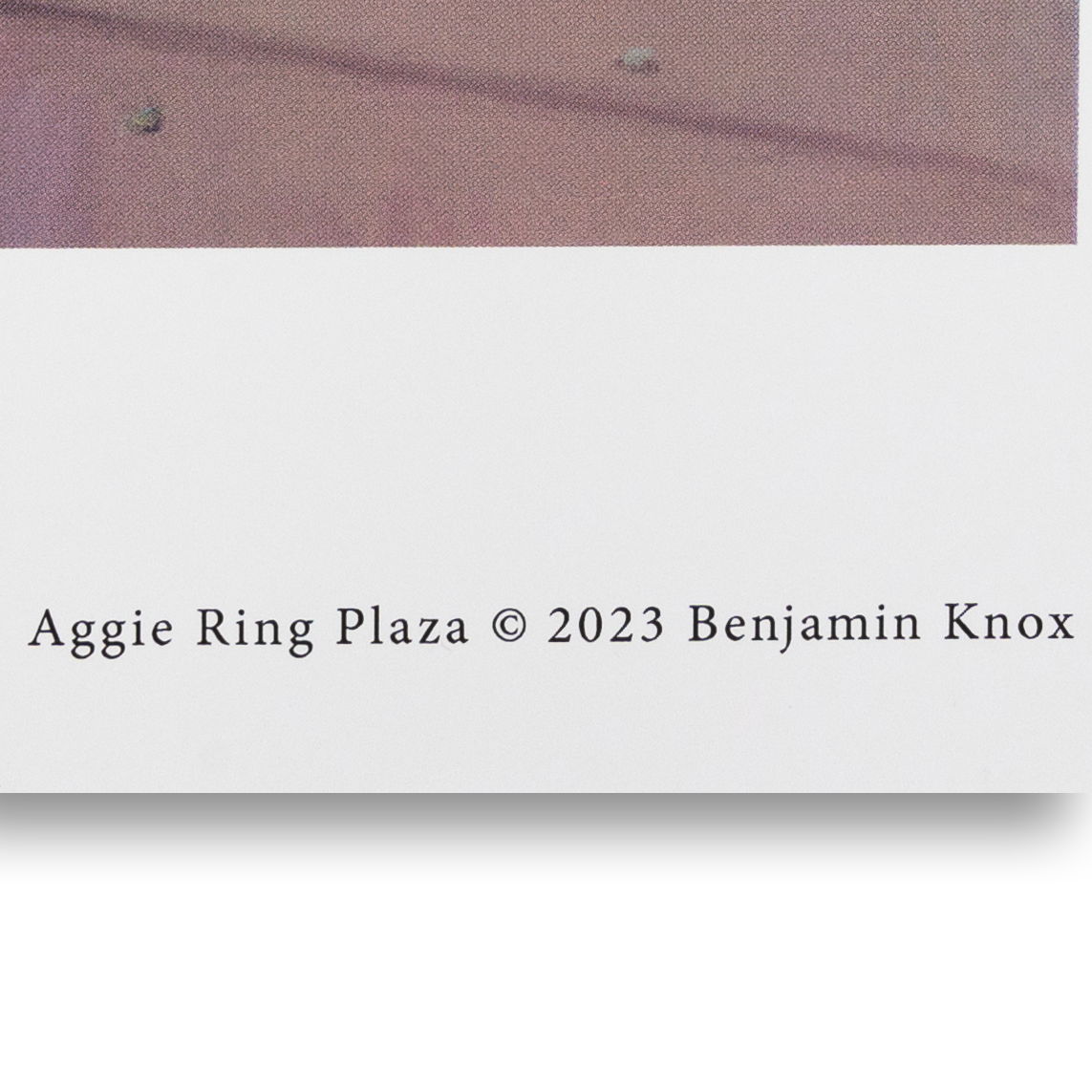 Texas A&M Benjamin Knox Aggie Ring Plaza Print