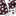 Texas A&M King Maroon And White Star Bow
