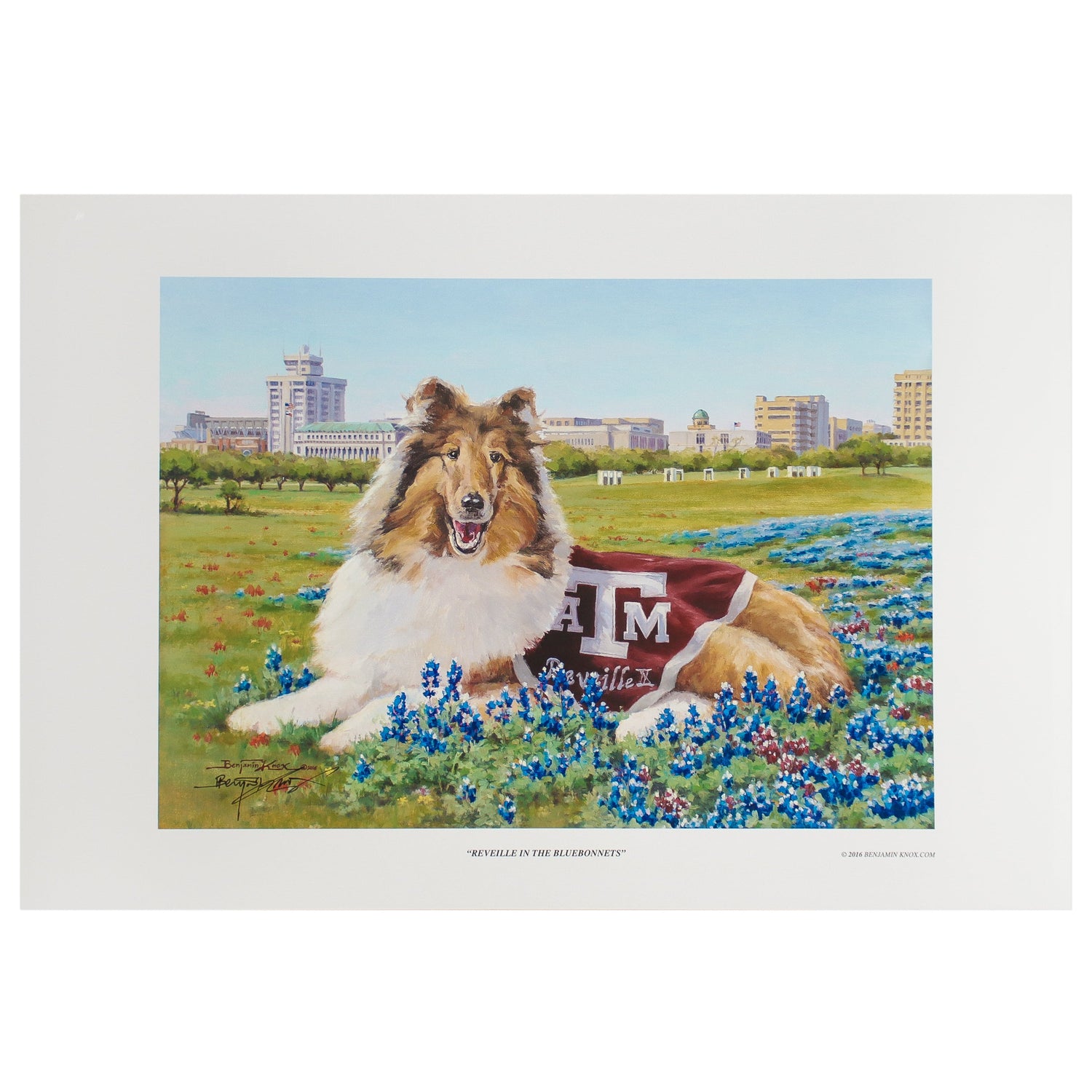 Texas A&M Benjamin Knox Reveille In Bluebonnets Print