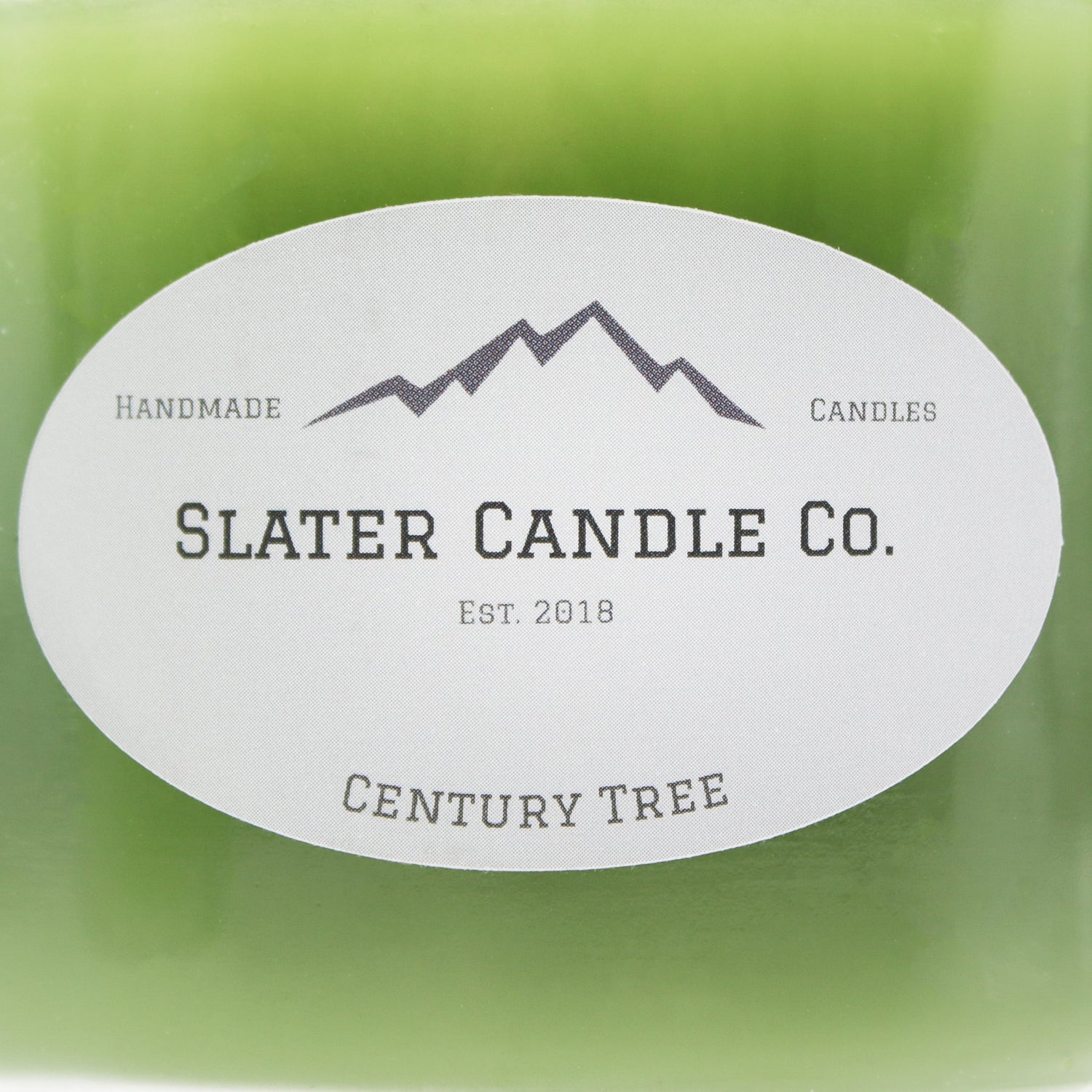 Slater Century Tree 16oz. Candle