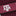 Texas A&M Flying Disc Squeaky Dog Toy